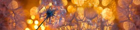 Кухонный фартук Мерцание Одуванчики золотистые 3 серебро в Новом Уренгое - novyj-urengoj.katalogmebeli.com | фото